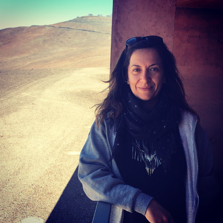 paladini_paranal.JPG
